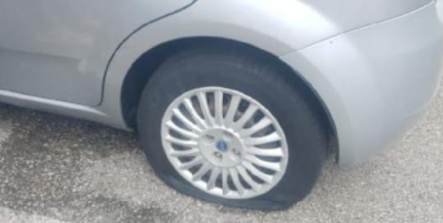 Immagine: Immagine 2025-09-20 140503