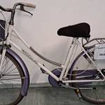 Immagine: Oggetto rinvenuto n. 8_2026